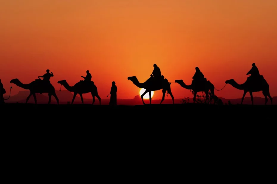 Vakantie woestijn kamelen